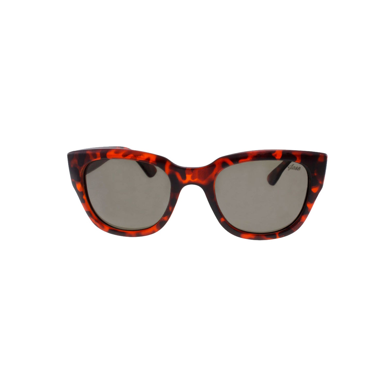 Jase New York Delano Sunglasses in Havana - buyzen